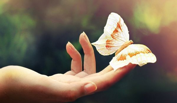 КОНЦЕНТРАЦІЯ УВАГИ